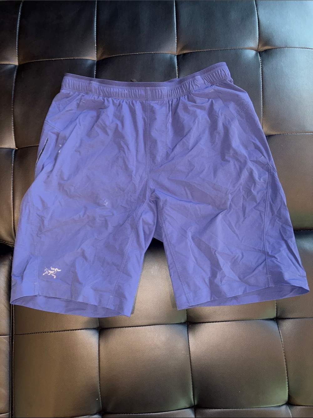 Arc'teryx Men's Purple Lightweight Athletic Shorts